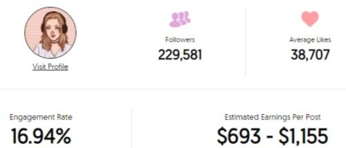 Niki Nihachu estimated Instagram earning