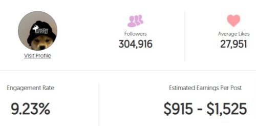 amustycow estimated Instagram earning