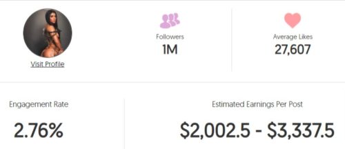 Deniz's estimated Instagram earnings
