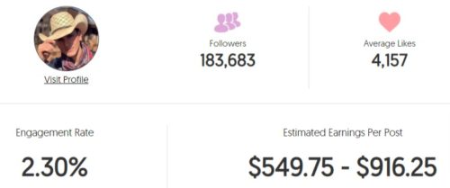 Geru's estimated Instagram earning