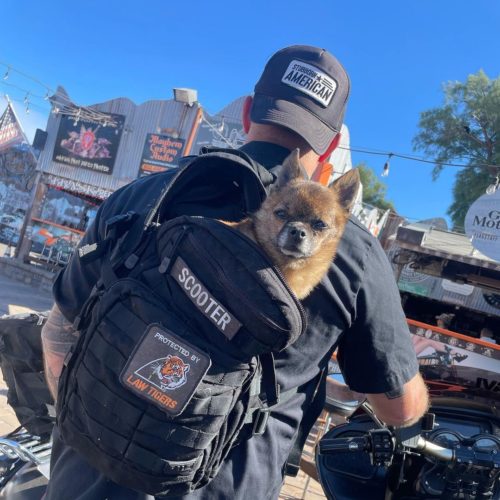 Adam Sandoval with his dog going for a ride