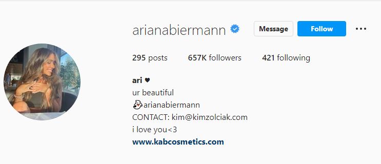 Ariana's Instagram profile