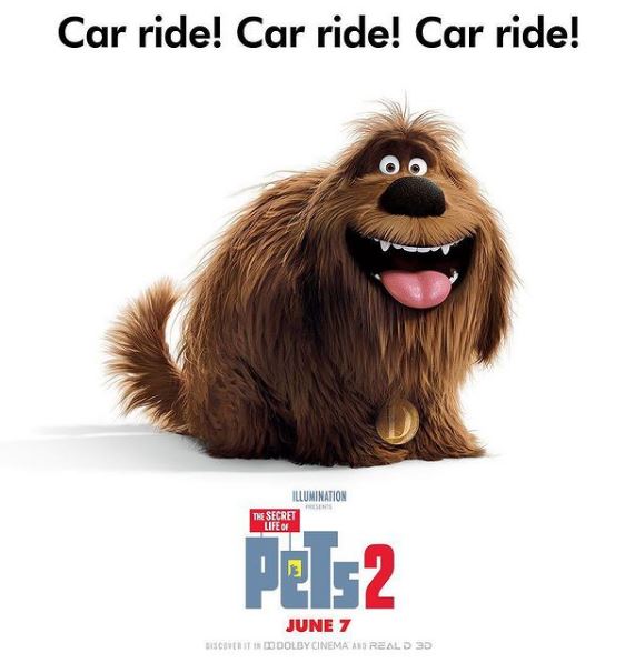 Lindsay Schweitzer appeared in The Secret Life of Pets 2