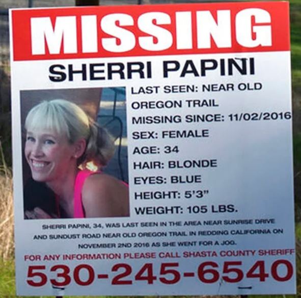 Sherri Papini missing news